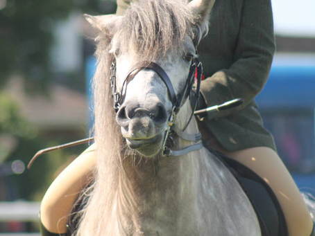 Facebook Photo Competition Winner