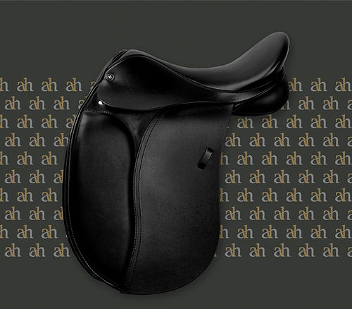 ah-saddles-heathland-dressage-2019.jpg