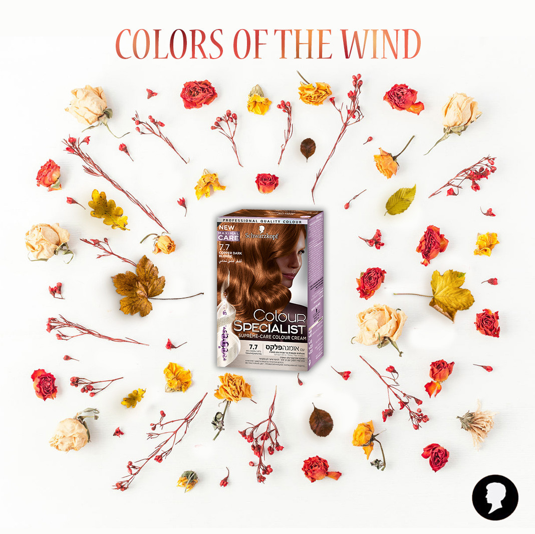 Schwarzkopf Ad for Facebook