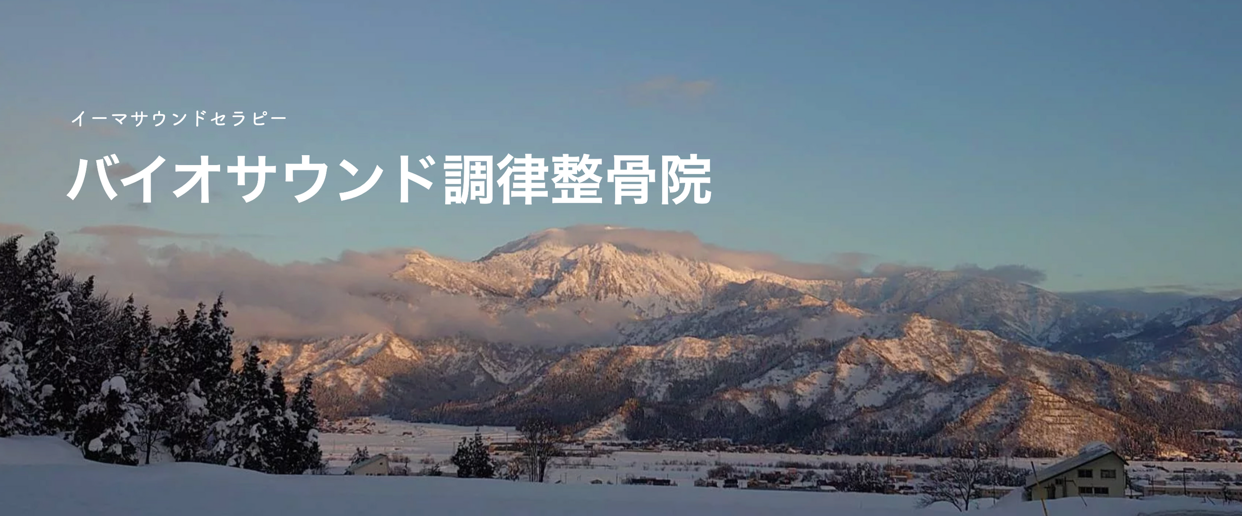 バイオサウンド調律整骨院 | イーマサウンドについて