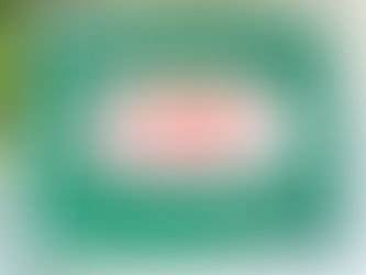 究極の蜜入り林檎“こみつ”ちゃん登場!