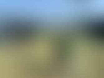 みんぐるの活動（これからについて）