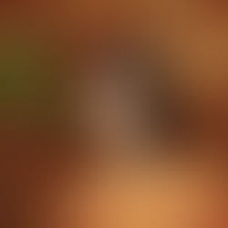 Giraffe image