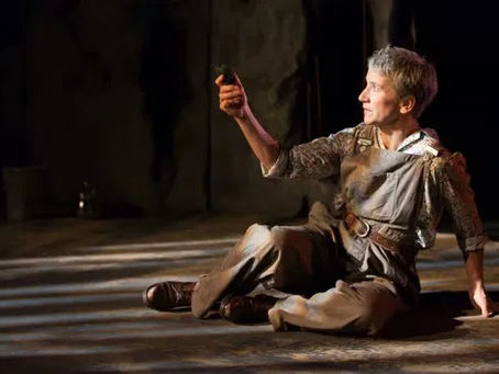 An Elephant In The Garden ****