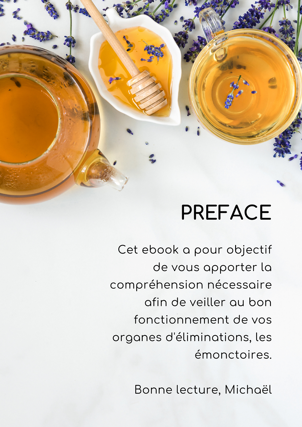 Miniature : EBOOK - Principes d'hygiène émonctoriel