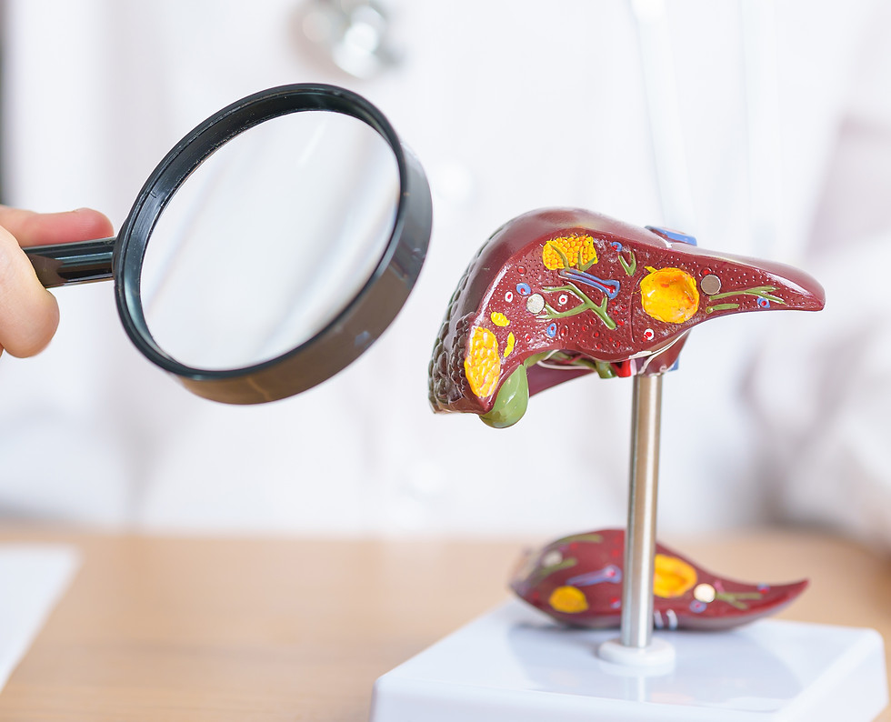 doctor-with-human-liver-model-magnifying-glass-liver-cancer-tumor-jaunlly.jpg