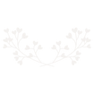 Wedmeets Logo