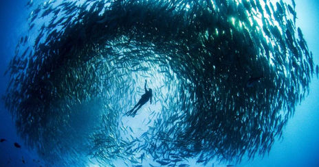 Dica: 20 filmes com temática do mar para assistir na quarentena