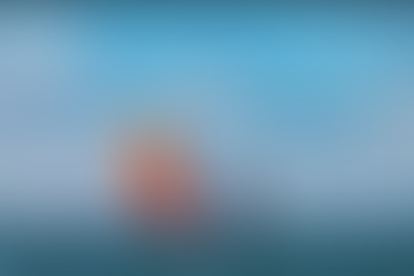 Regata Aratu-Maragojipe 2026 anuncia data da abertura de inscrições