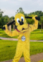 Yellow Dog
