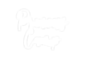 Virtual Princess Camp