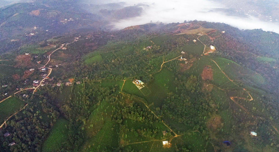 Satellite view