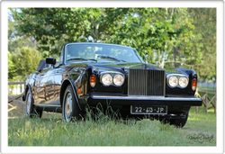 Carro 1