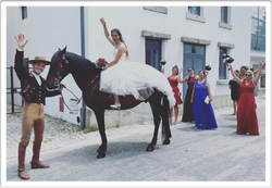 cavalo 2