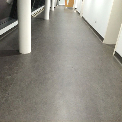 Grey Marmolum Lino Safety Flooring