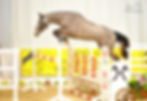 Carafina v.Cardento x Graf Top x For Pleasure