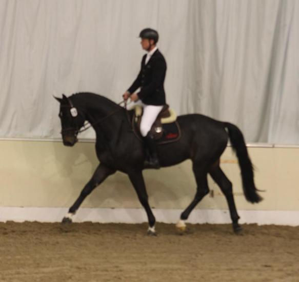 Thumbnail: Stacopi by Stakkato