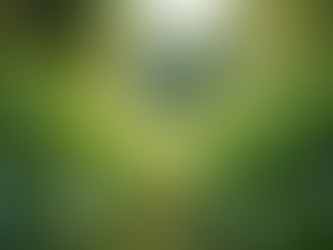 The Importance of Sustainable Living for Future Generations