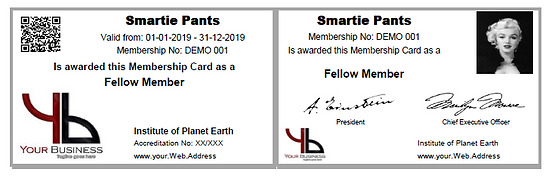 Demo Smartie Card.PNG