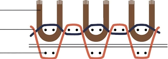 upscalemedia-transformed (4).png