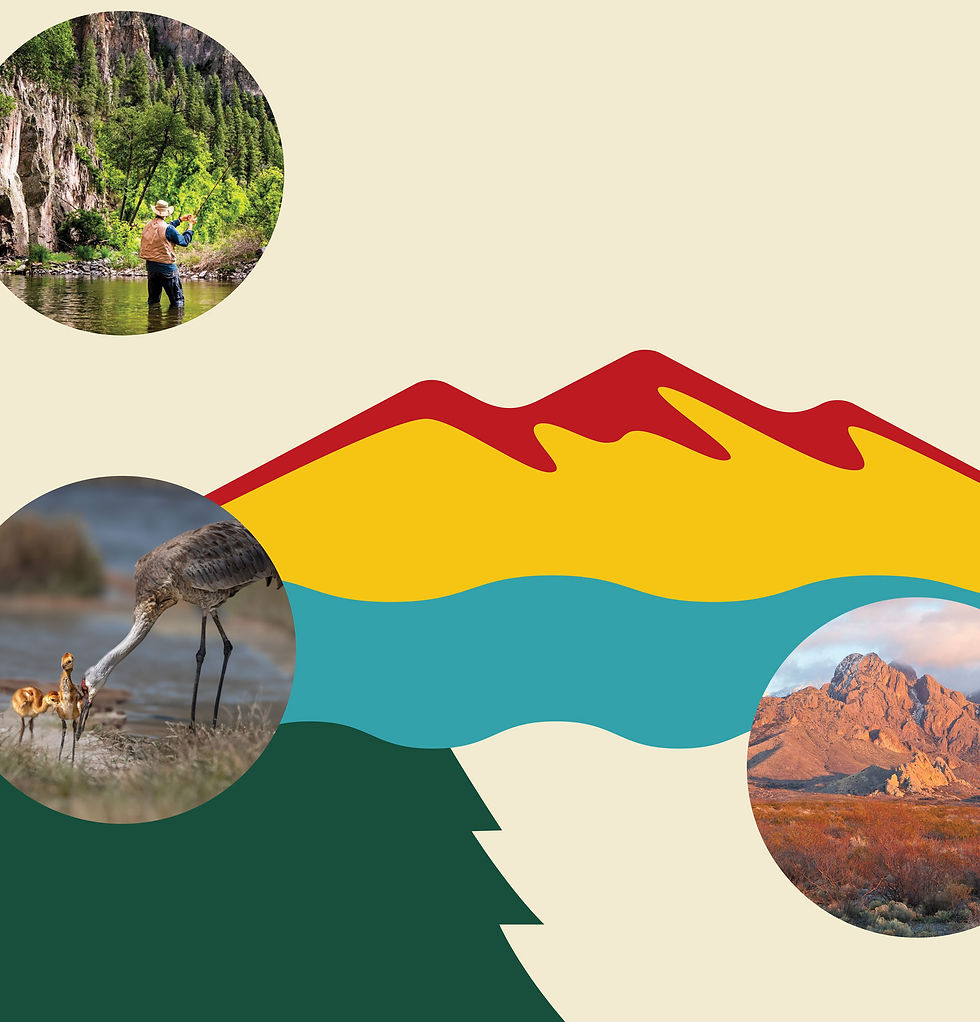 NMWild_Background-1.jpg