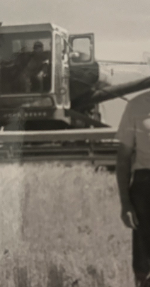 OLWC_image2.png