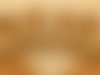 2025/26 Updated Core Values