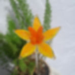 Miniature : Fleurs en cristal