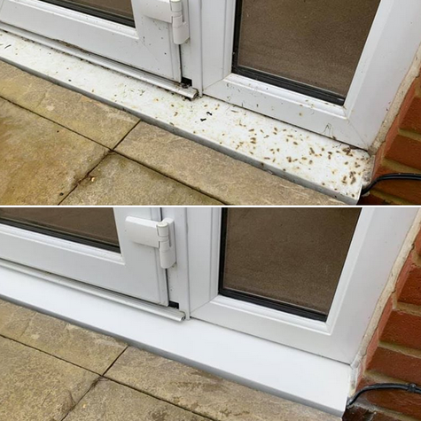 patio door.png