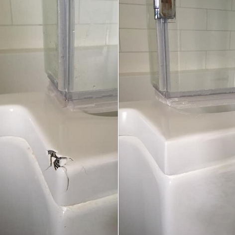 bath damage repair.png