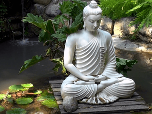 Create a Calming Vibe with the Right Buddha Statue for Home