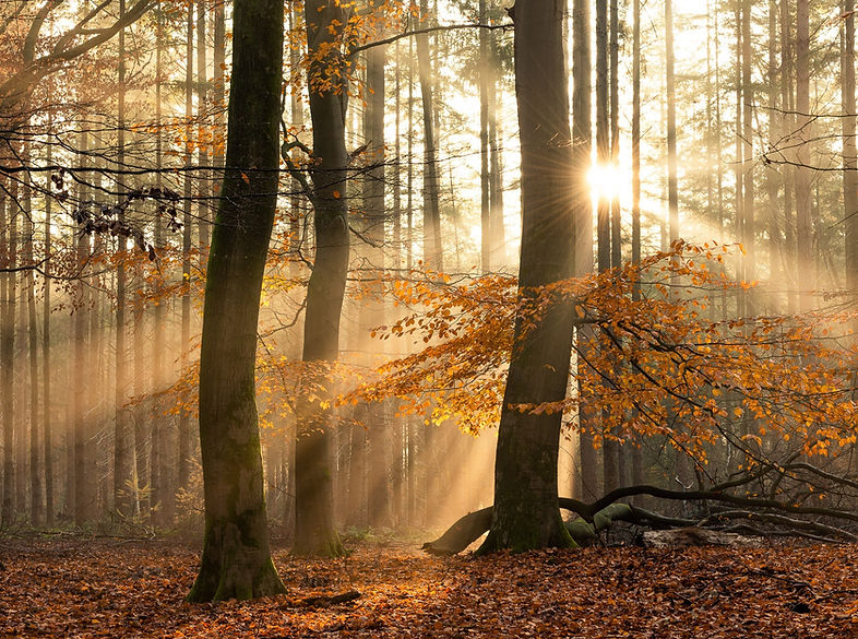 zonsopgang-beerze-junne-wandelen-vechtdal.jpg