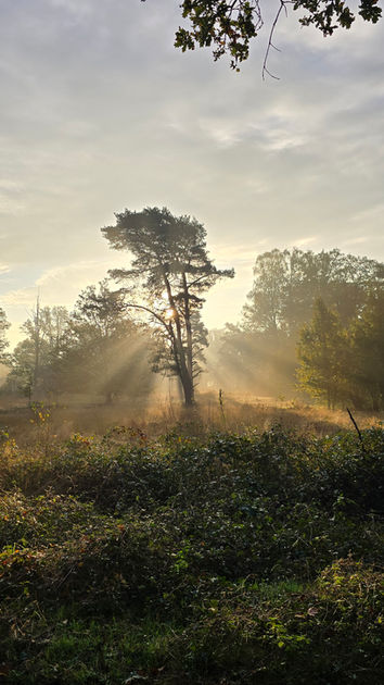 twente-wandelen-vechtdal-beerze-wandelroute-fietsen-fietsroute-overijssel