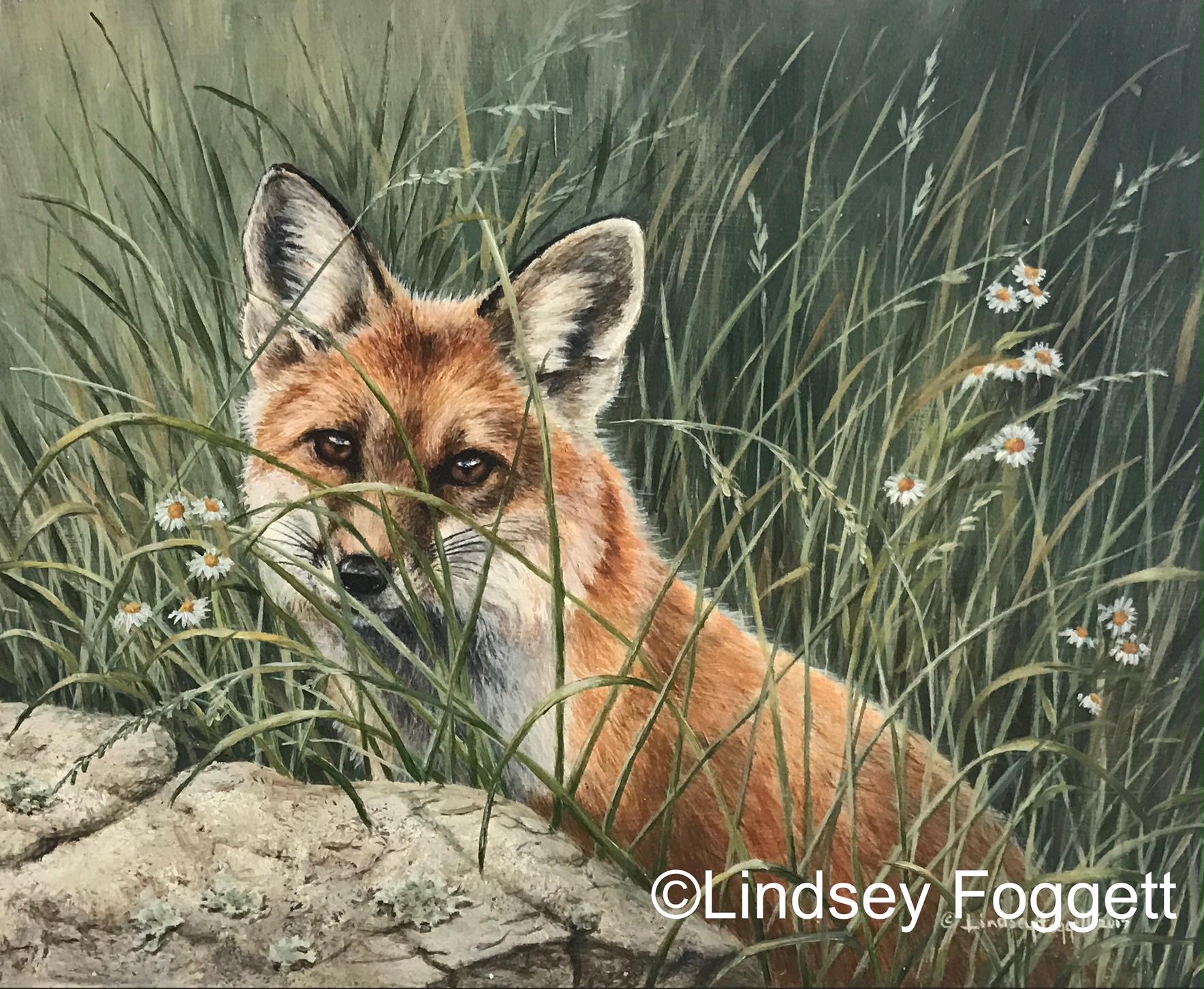 "Hidden in Spring"