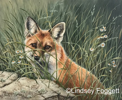 "Hidden in Spring"