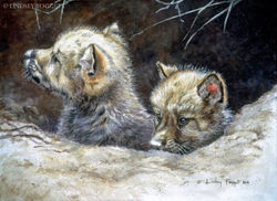 "New World" - Wolf Pups