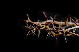A Crown of Thorns (Part II) (June 2020)