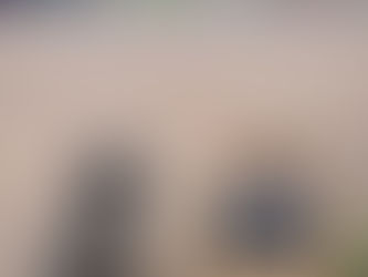 Needham Lake circular