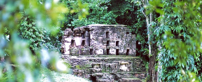 マヤの遺跡