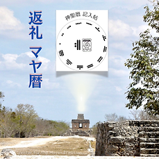 IMG_8373.PNG