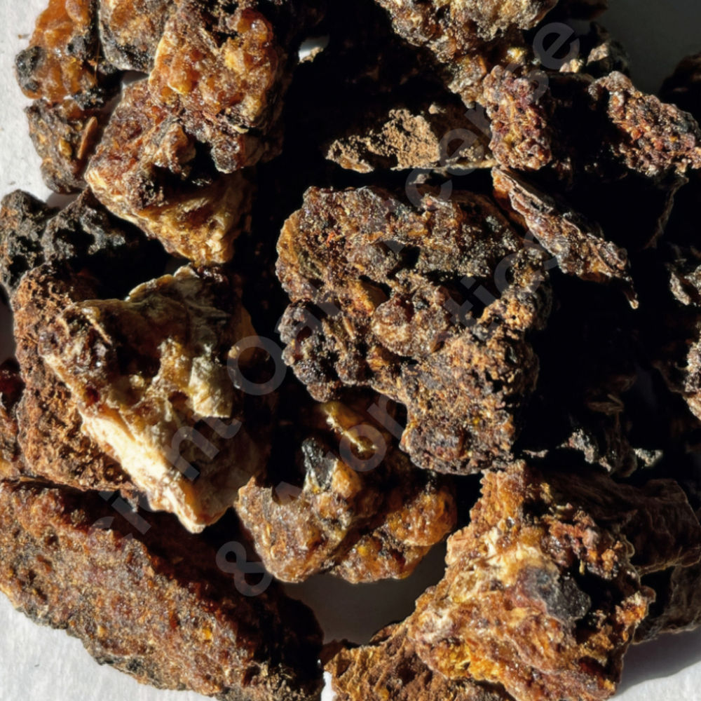 Myrrh Commiphora Guidotti Opoponax Hadi