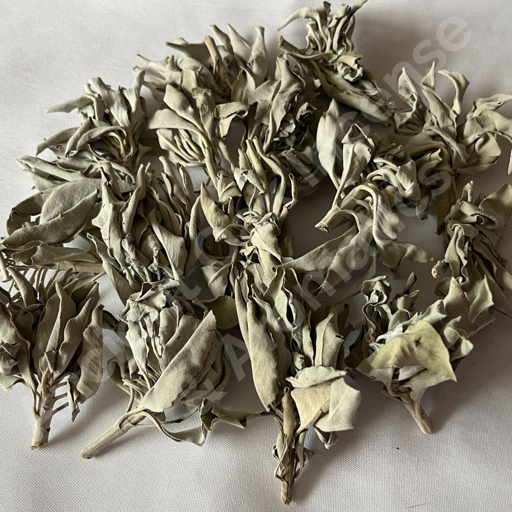 White Sage