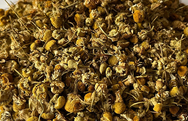 Chamomile whole Egyptian