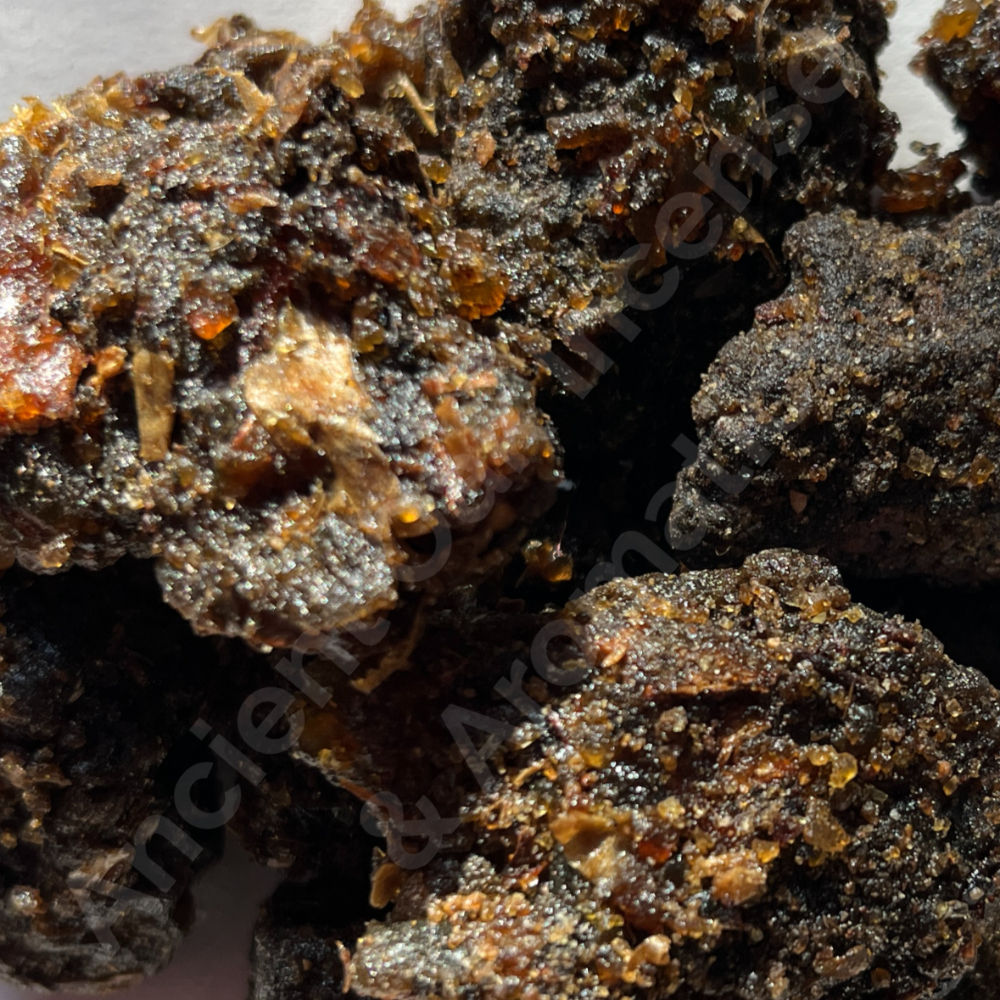 Myrrh Commiphora Wightii