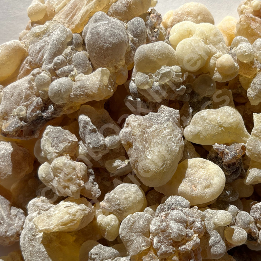 Frankincense Boswellia Red/Amber Hojari
