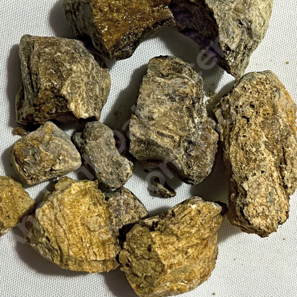 Mayan Copal