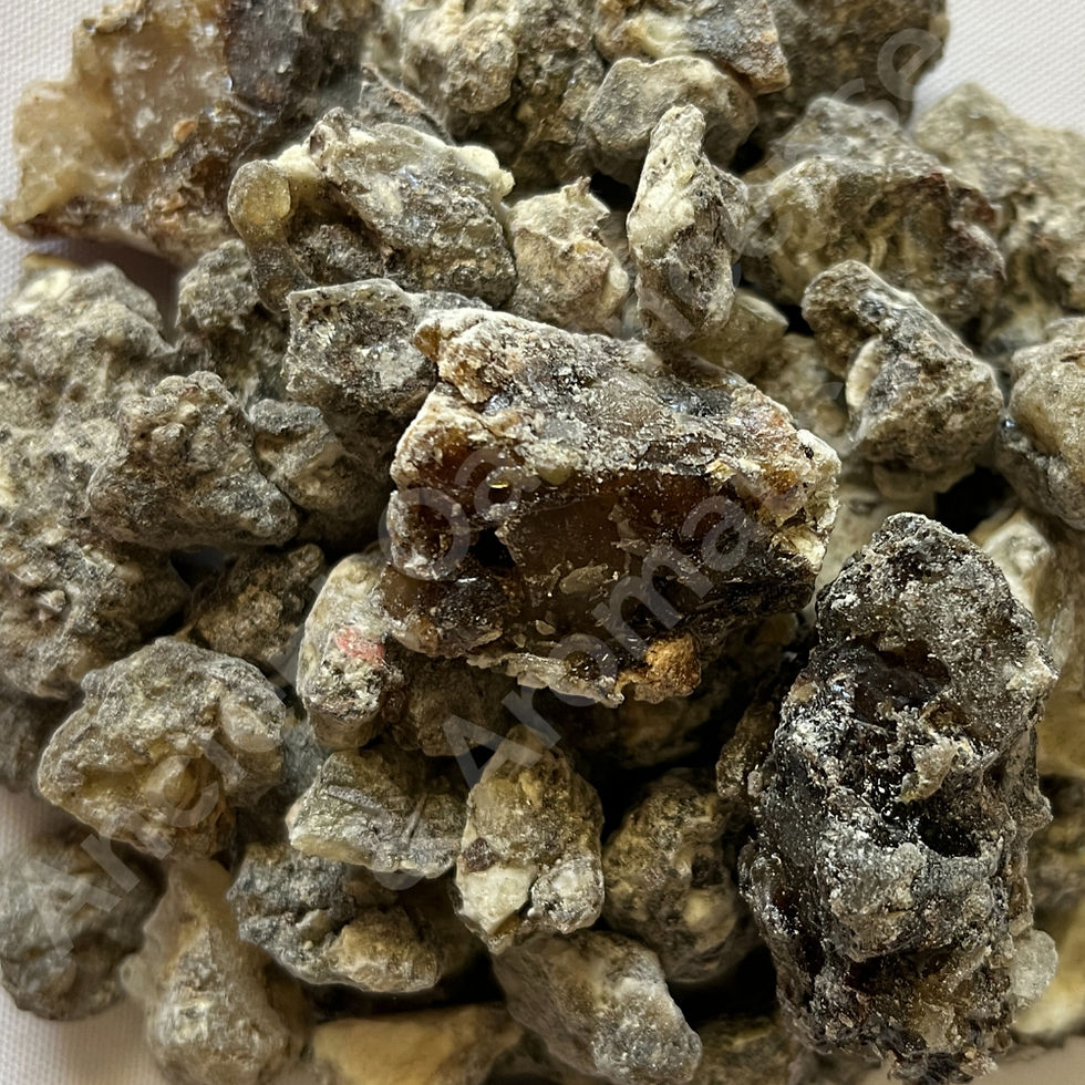 Frankincense Boswellia Neglecta Beeyo Madow
