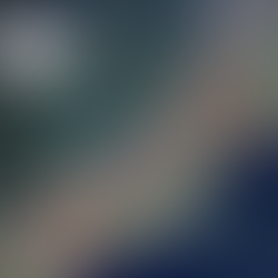 お米の品質の向上:お米の品質の秘密と重要性