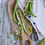 Miniature : Haricots vert
