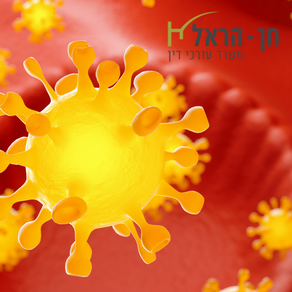 קורונה וקבוצות סיכון